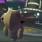 くまぜみ